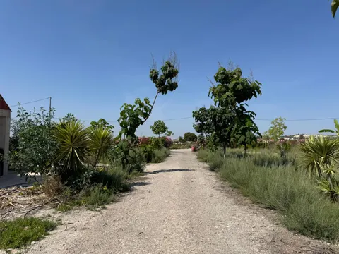 Finca rústica de 10.000 m² con 2 viviendas, nave y balsa en Las Jumillicas (Fortuna)